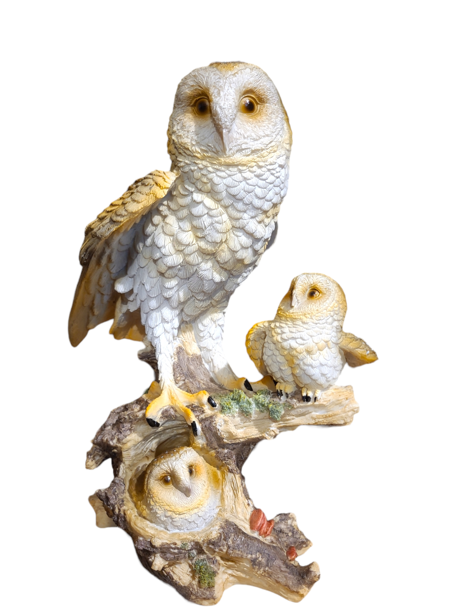 Barn Owl Family