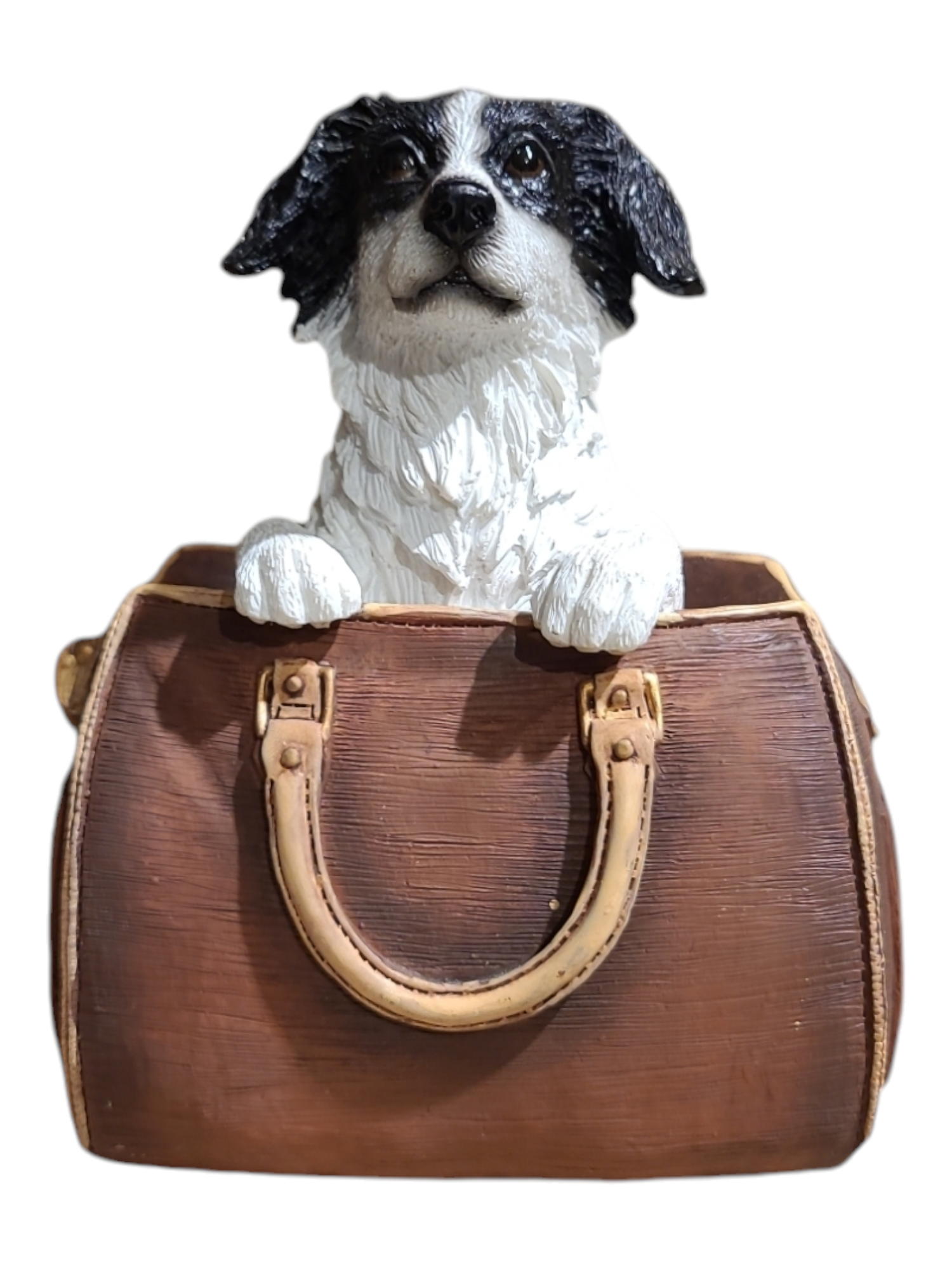 Border Collie In Bag