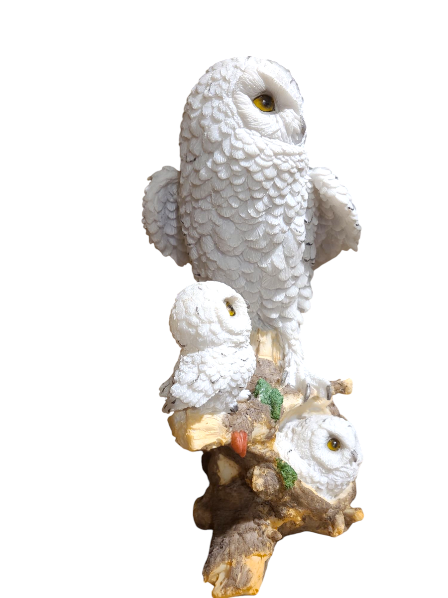 Large Snowy Owl Family