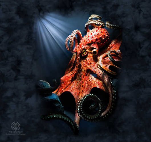 Giant Pacific Octopus Tumbler