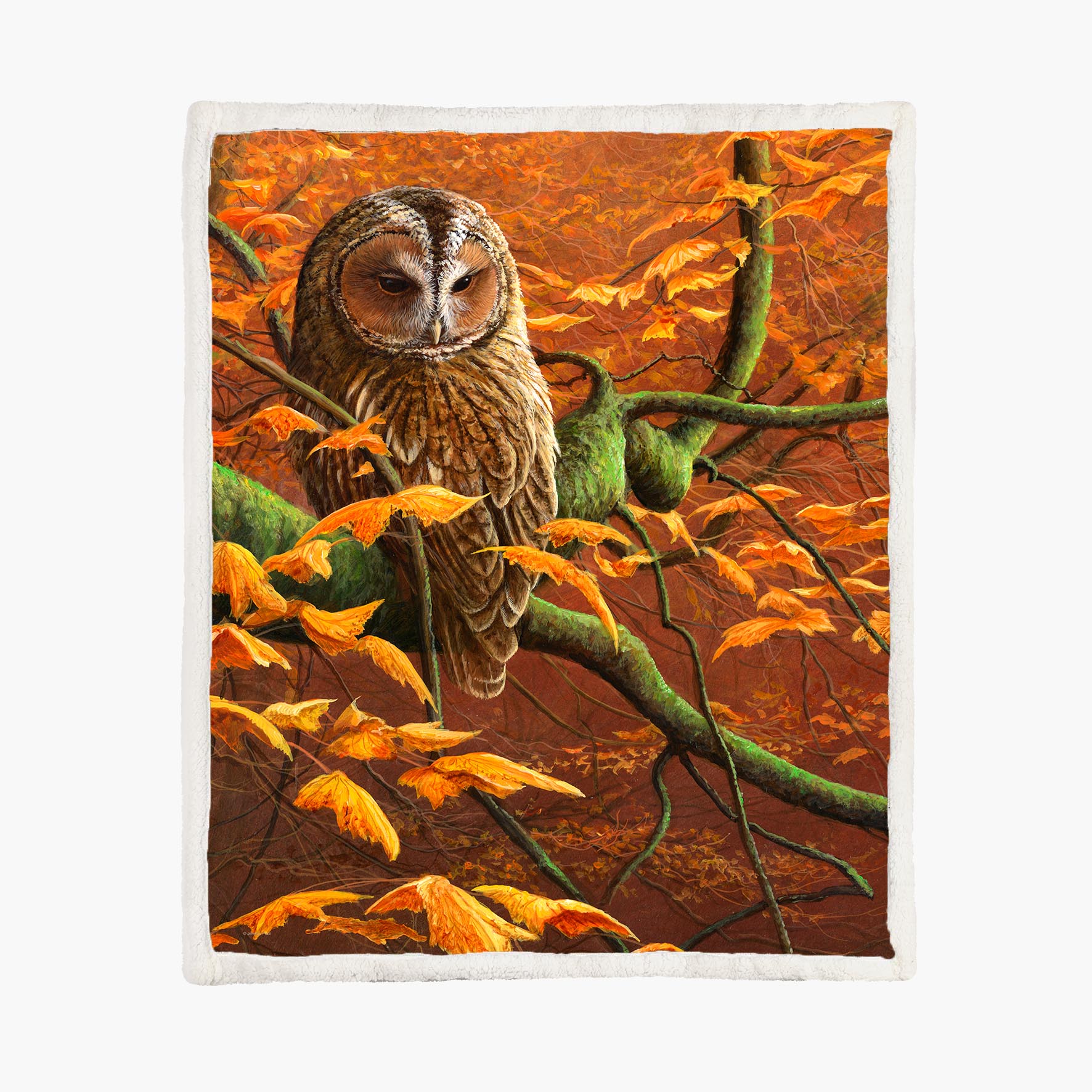 Autumn Tawny Owl - Size L - 150x200cm - Fleece Blanket