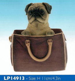 Pug In Bag