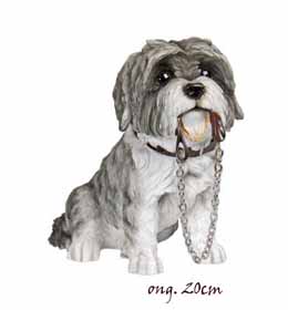 Shih Tzu Black/White LP12446