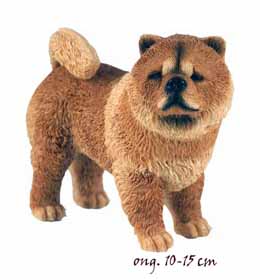 Chow Chow LP24642