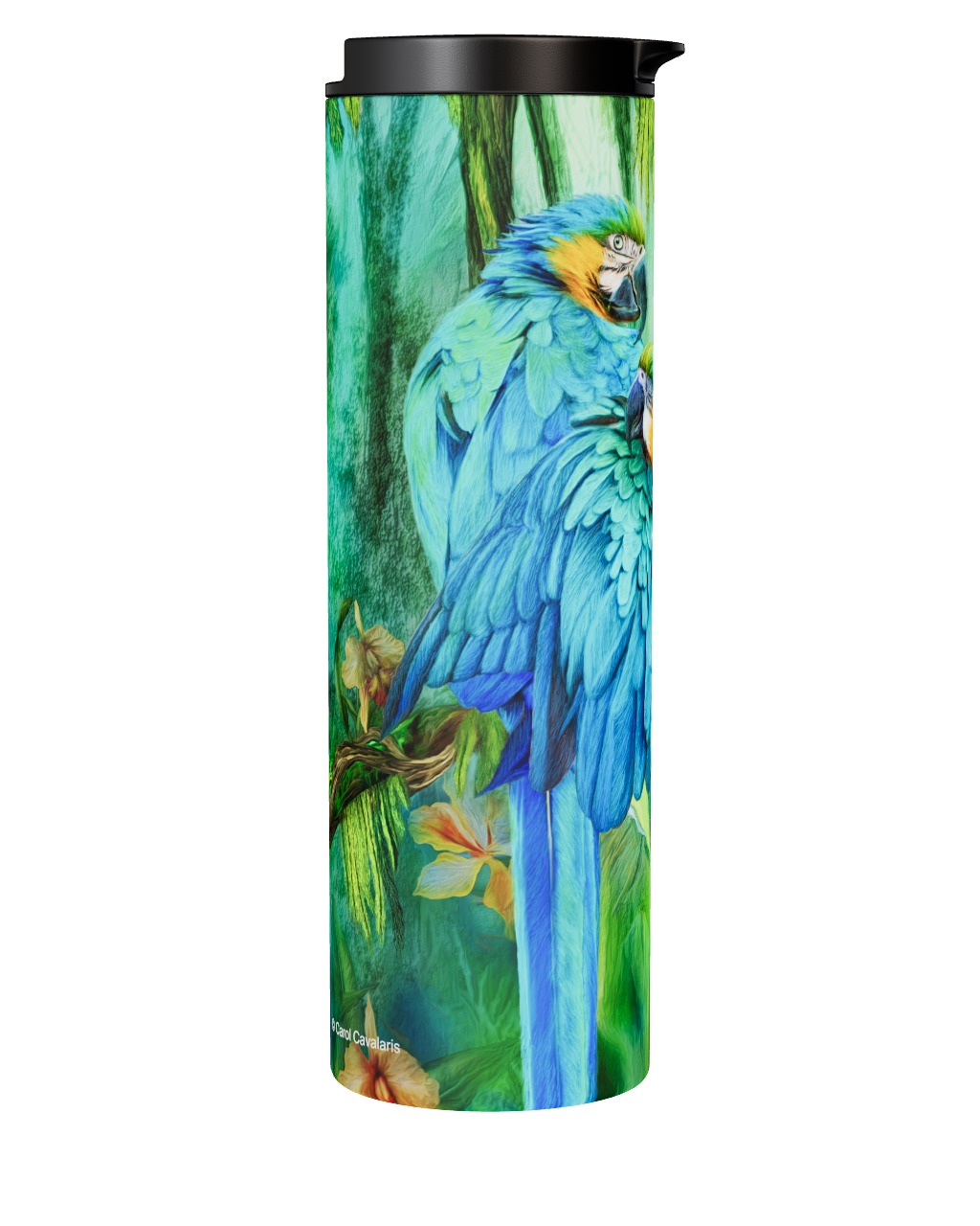 Gold Blue Macaws Beach Combi! Carol Cavalaris Art