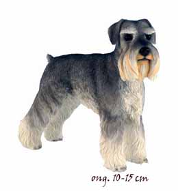 Schnauzer LP14183