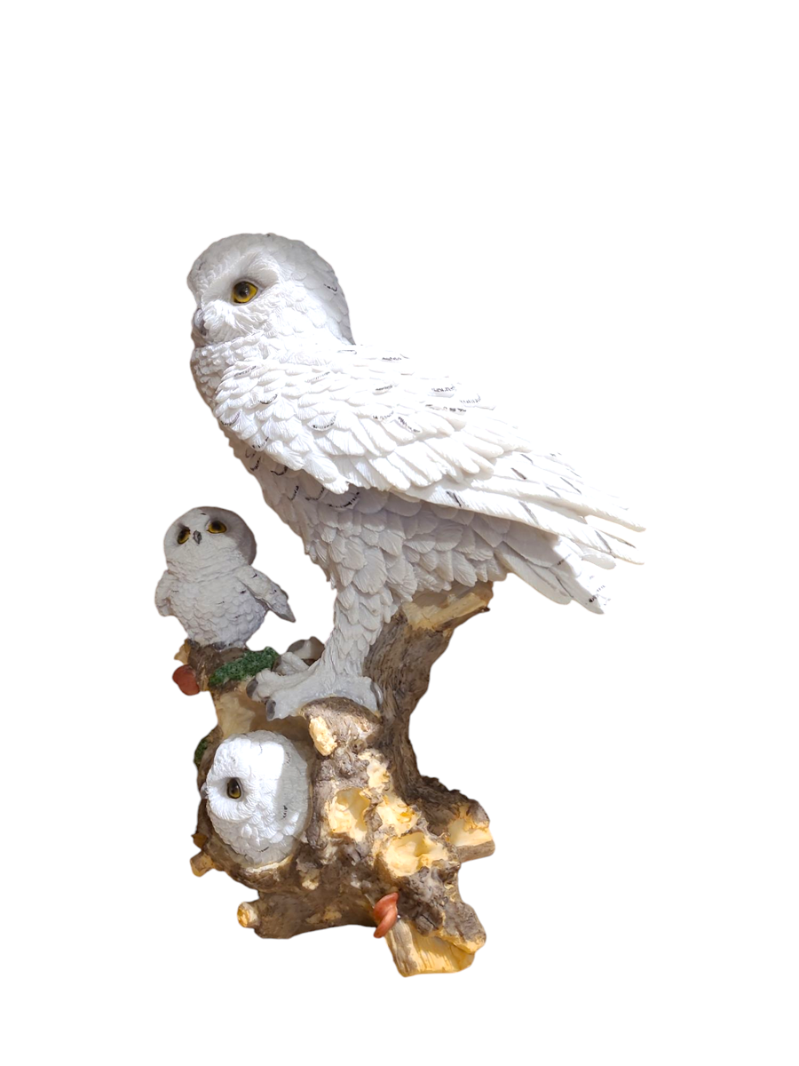 Large Snowy Owl Family