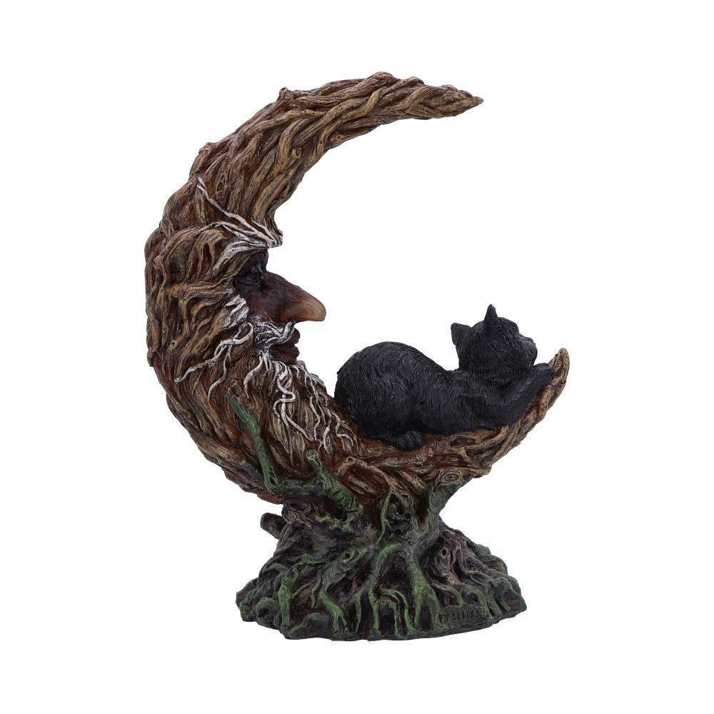 Familliar Black Cat Slumber 21.2cm