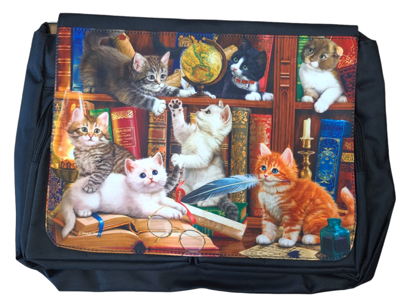 Kittens In Library - Messenger Bag Big