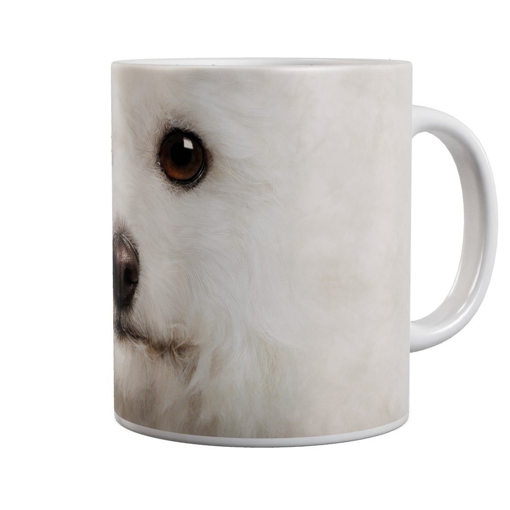 Bichon Frise Big Face Mug