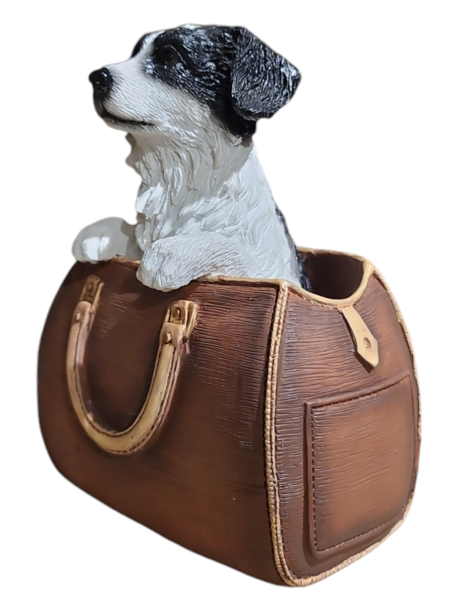 Border Collie In Bag