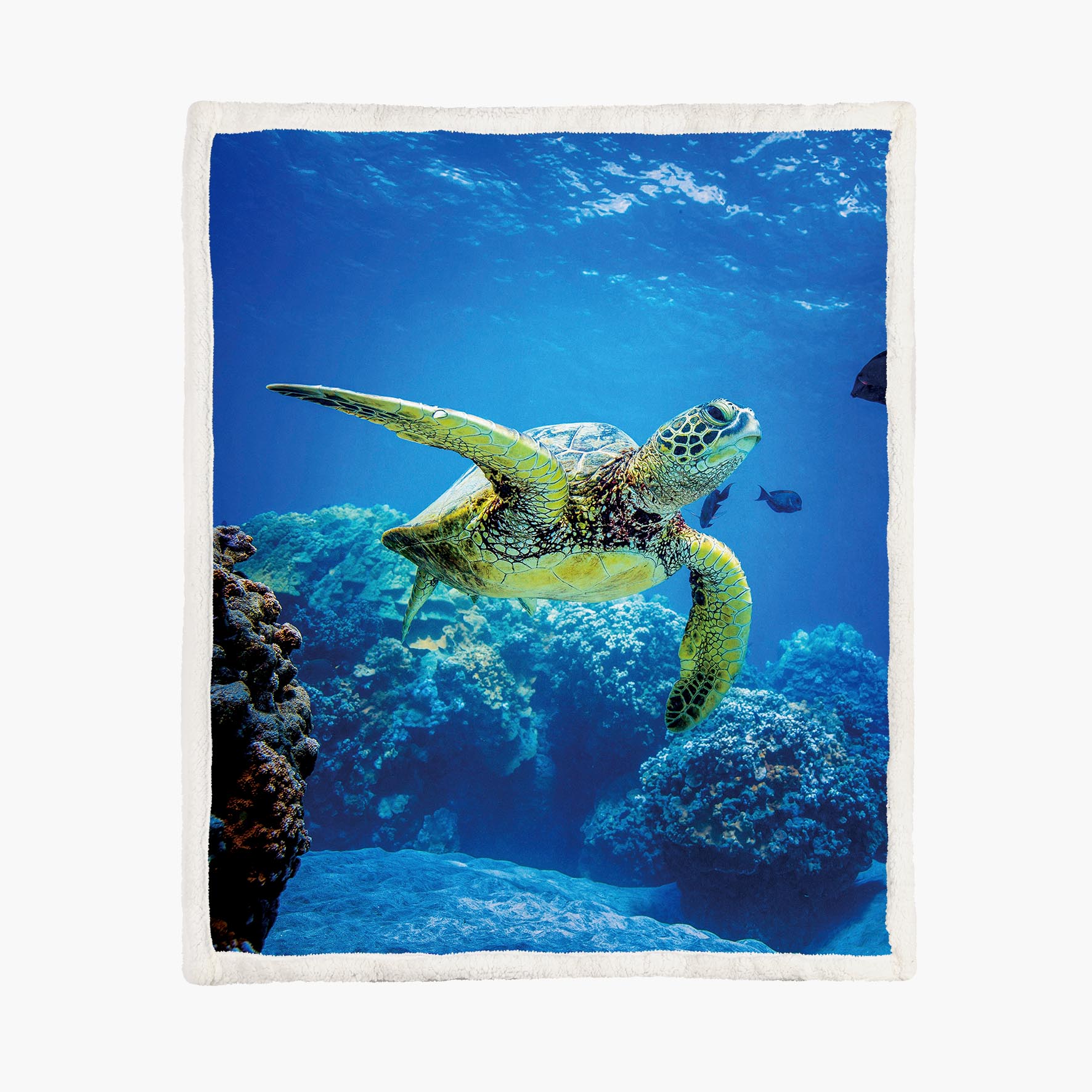 Sea Turtle - Size M - 130x150cm - Fleece Blanket